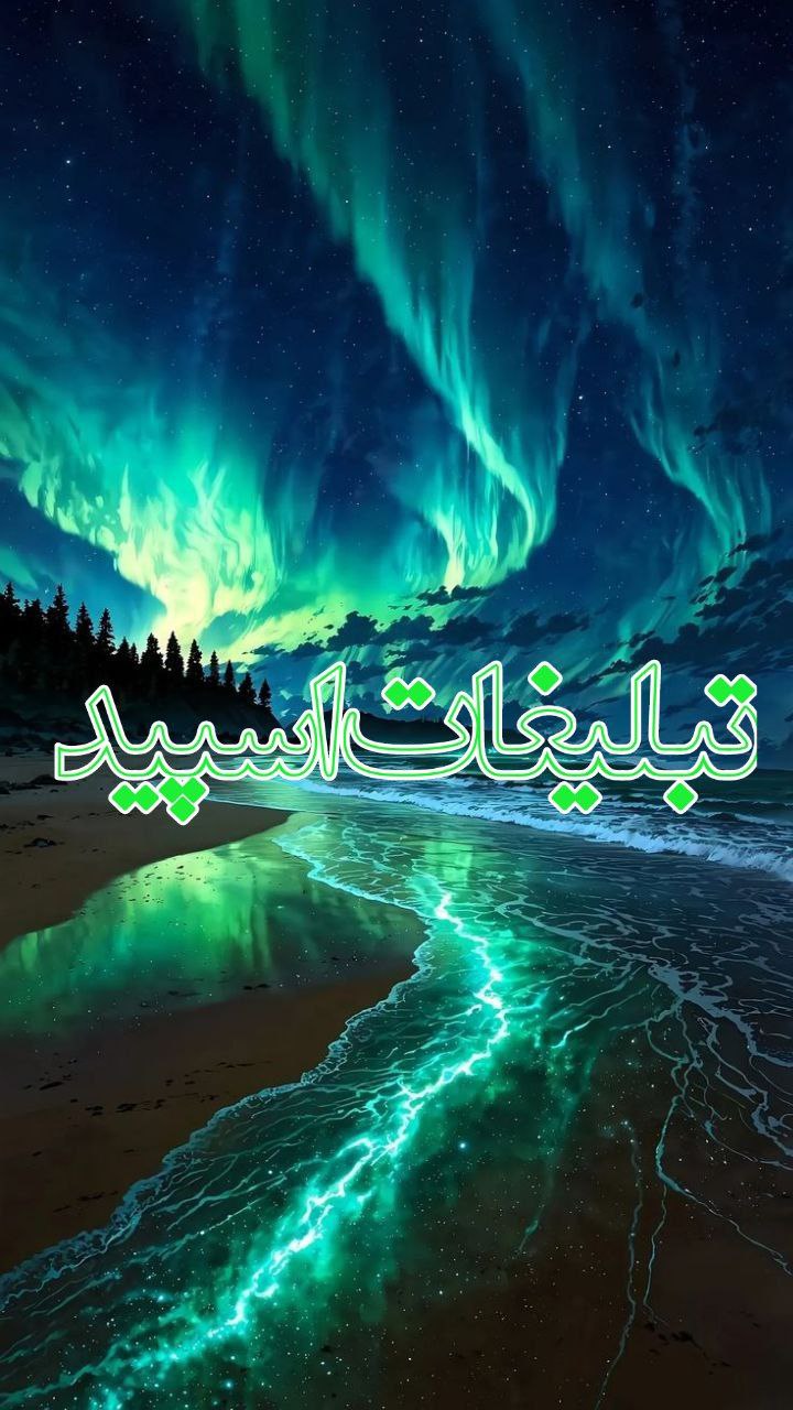 لویال_فرندز (1)