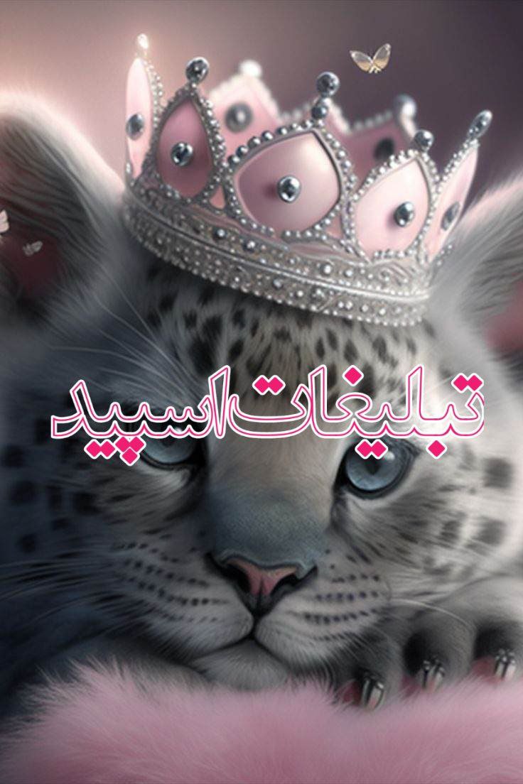 وایلد ولف (341)