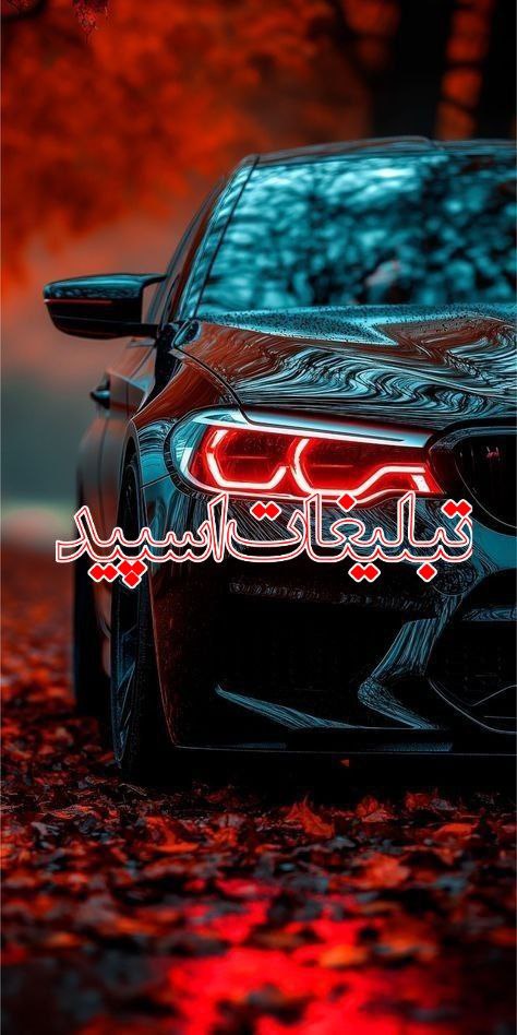 🔴 𝑵𝒊𝒄𝒆 🔴 (1)