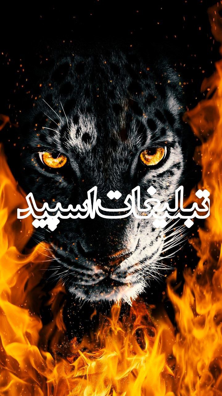 پاتوق رفقا (3)