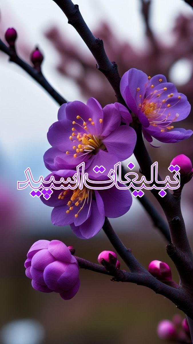 دورهمی هانی ودوستانش 😍