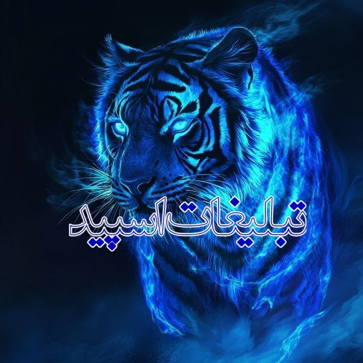 🥂𝓋𝒾𝓅 𝓂𝑒𝒽𝓇𝒹𝒶𝒹 (1)