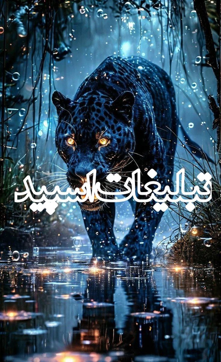 💕‌k꯭‌‌h꯭‌‌a꯭‌‌s꯭‌‌ ꯭‌‌✱꯭‌‌ k꯭‌‌a꯭‌‌d꯭‌‌e꯭‌‌h꯭‌ 💕