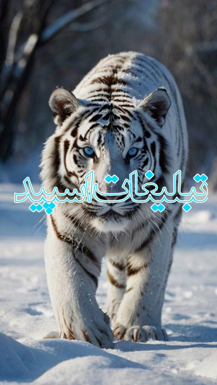 💎کافه گپ الماس🫶