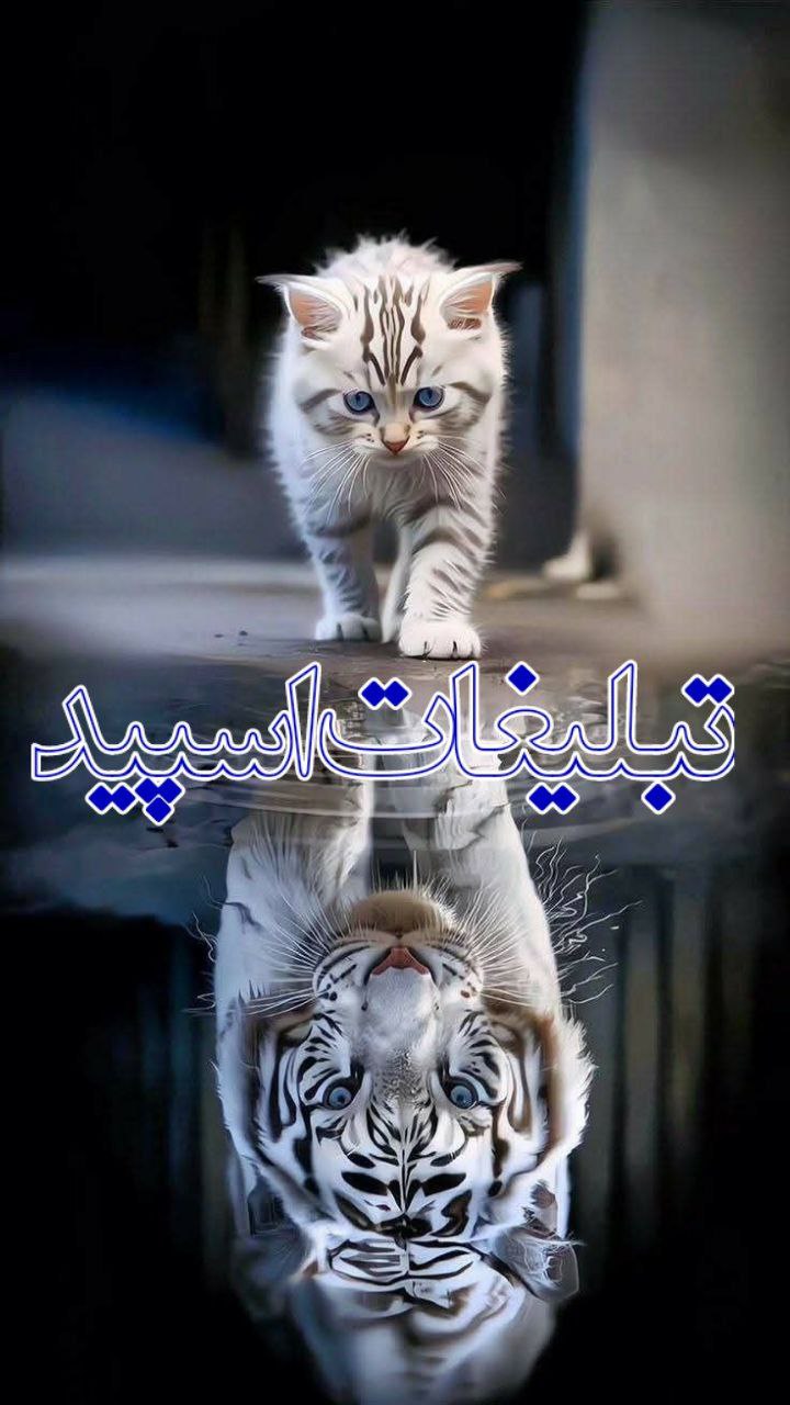 .𝑾𝒆𝒍𝒌𝒐𝒎𝒆 🇦‌🇽‌🇸‌🇴‌🇳‌#