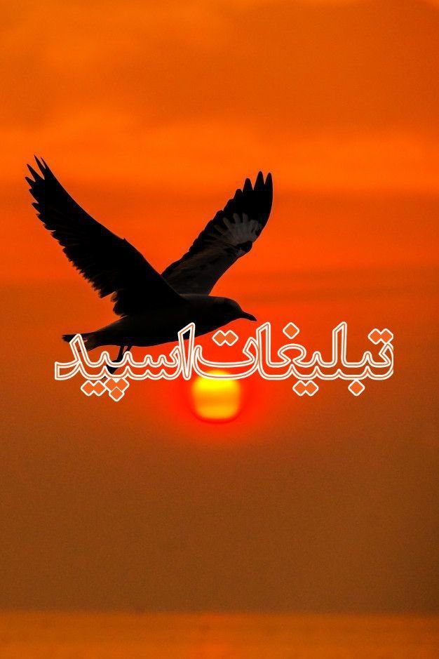 دورهمی لاکچری🌹