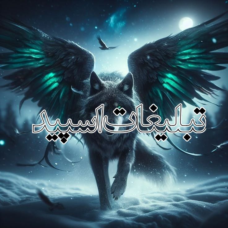 ♛میتــــ𝐌𝐞𝐱𝐢𝐜𝐨ــــینگ❦ (1)