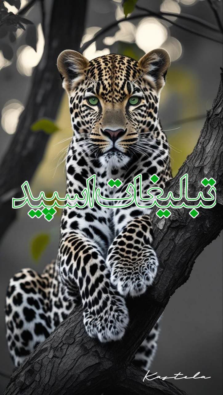 گروهکده قلمرو ملکه (1)