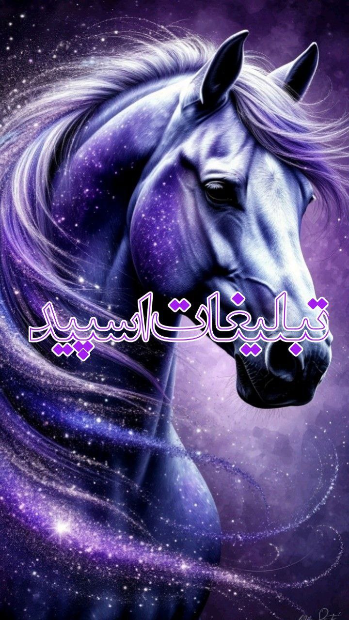 اکیپ دوستان خاص (6)