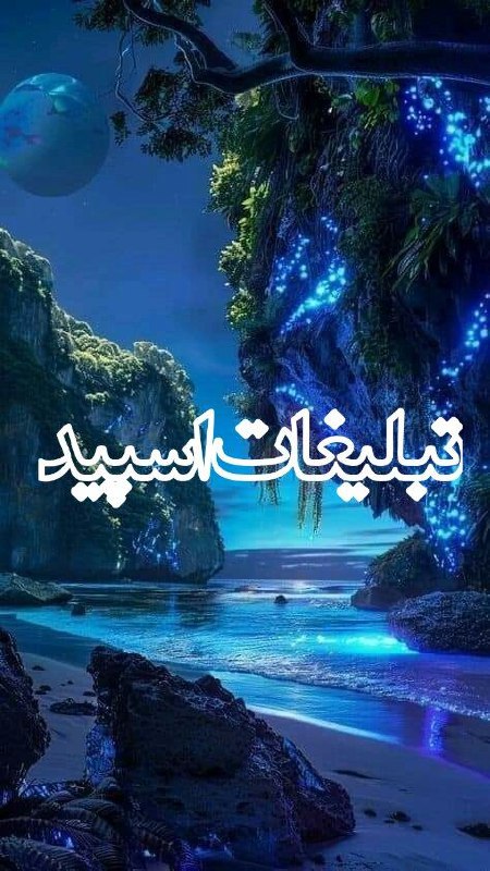 وایلد ولف (292)