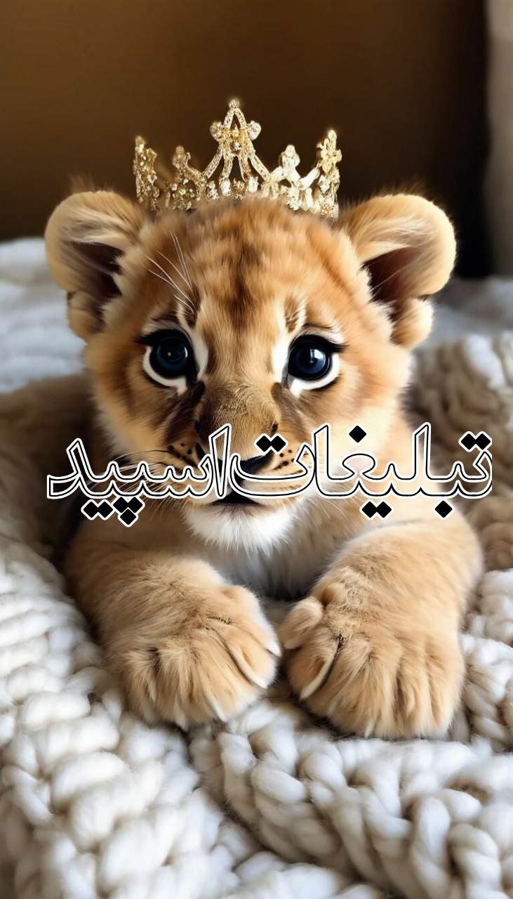 مـودی‌ گـپ؛