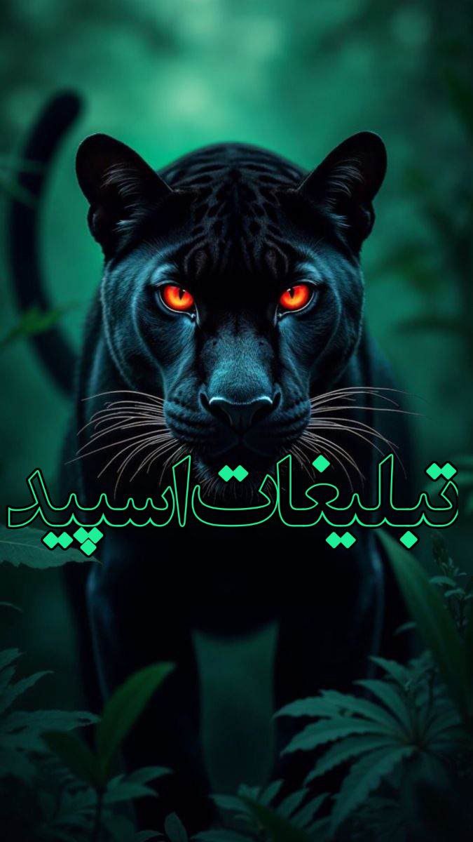 وایلدولف (2)