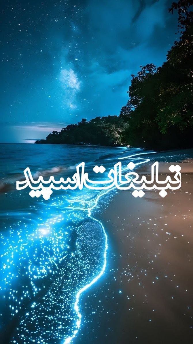 ولف لند (21)