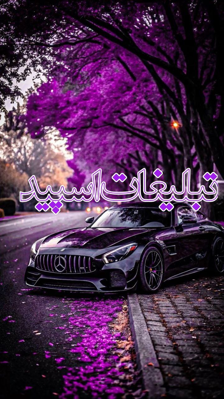 ⫸ ➥ 𝘓𝘐𝘍𝘌𝘌 ➥ ⫷ (1)