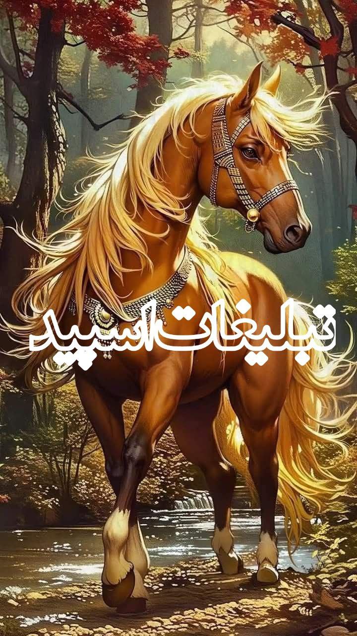 تبلیغات