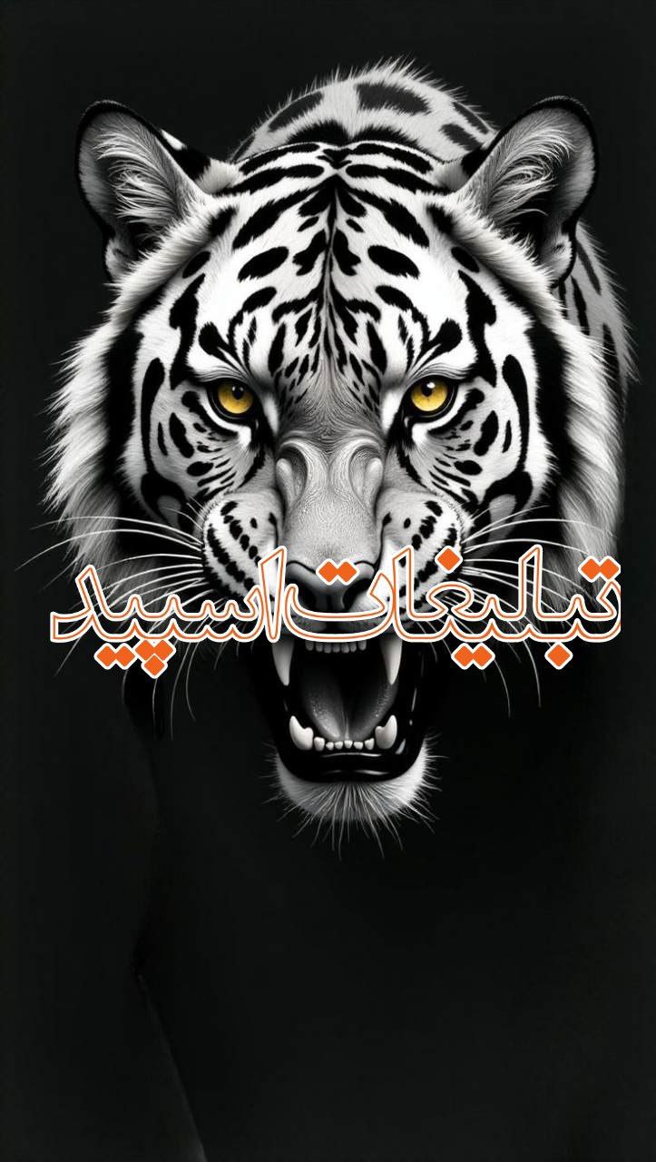 تبلیغات