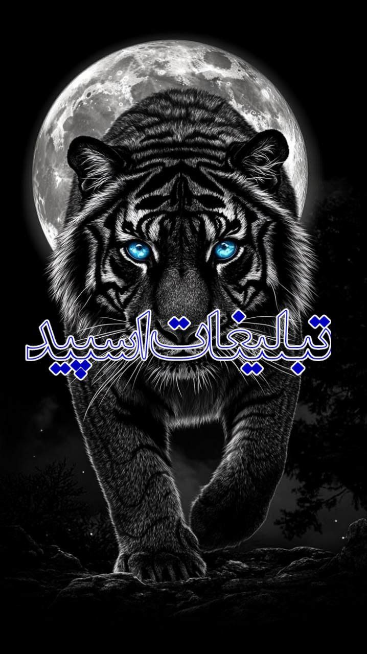 ❤️‍🔥دورهمی جیگرااا❤️‍🔥