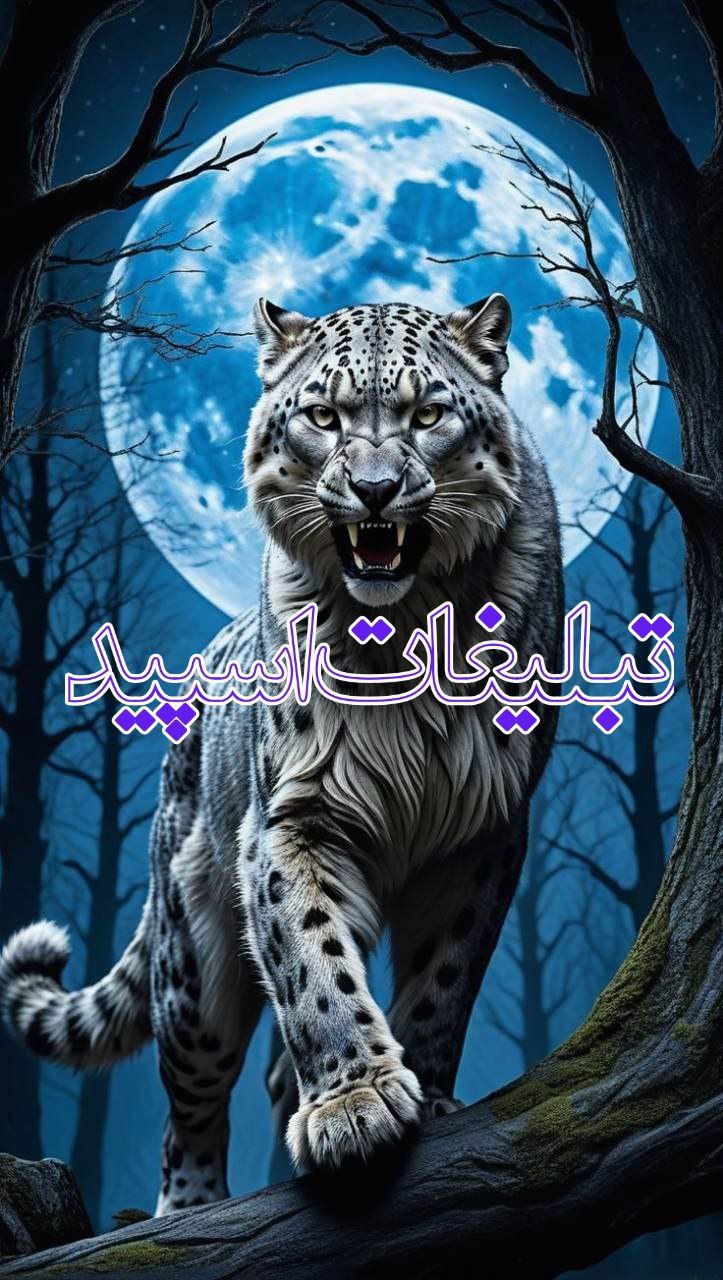 𓆩❤𓆪 کلبه عشاق 𓆩❤𓆪