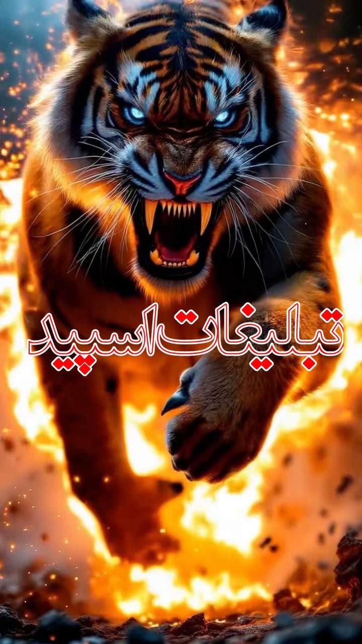 گروه دورهمی تگزاس (53)