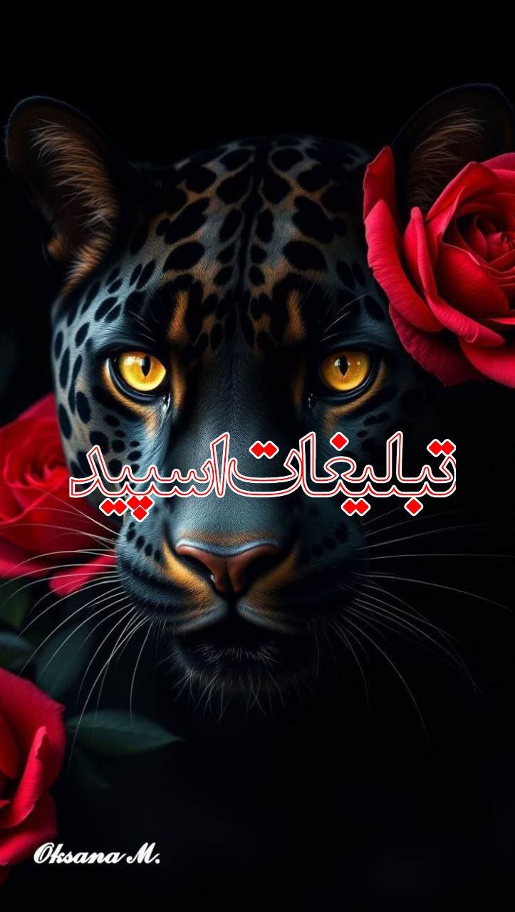 تبلیغات