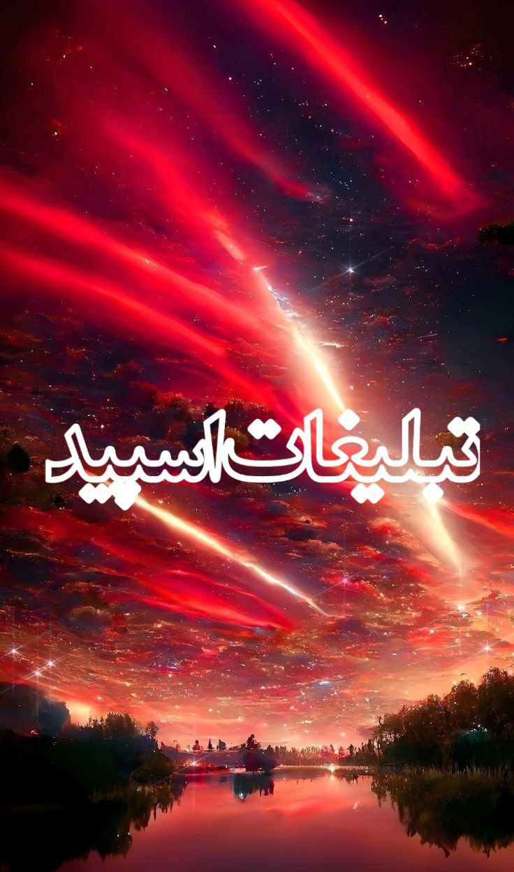 ولف سیتی (26)