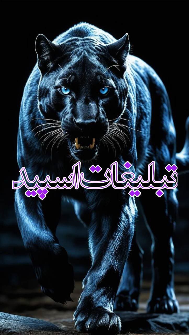 🌹نگاه عاشقانه 🌹 (1)