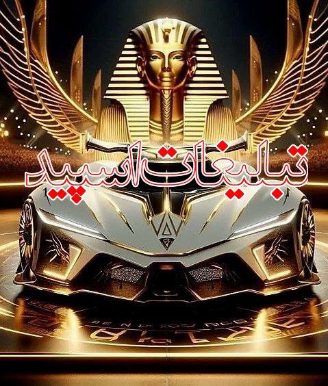 وایلد ولف (55)