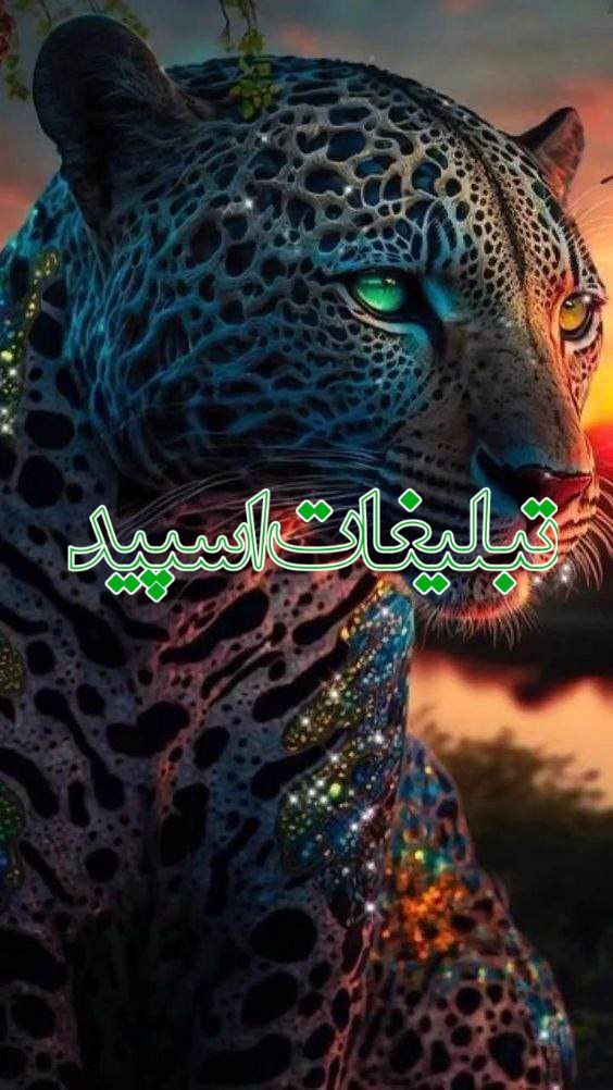 دورهمی مجردهای لاکچری کرمانشاه