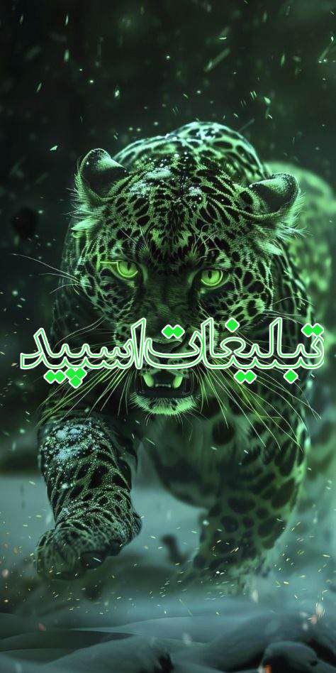 🌈 𝑳𝑰𝑽𝑬 𝑵𝑨𝑩✨ (25)