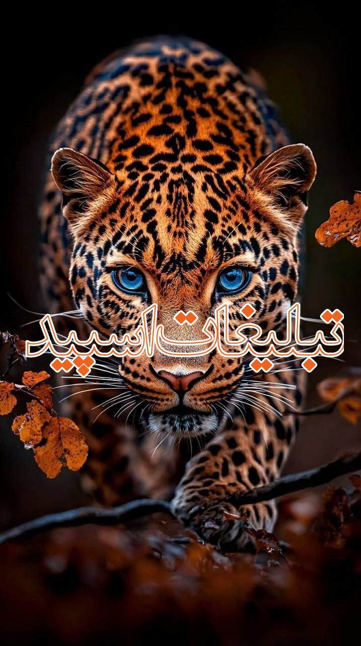 ❤️🌹دورهمی دوستان 🌹❤️