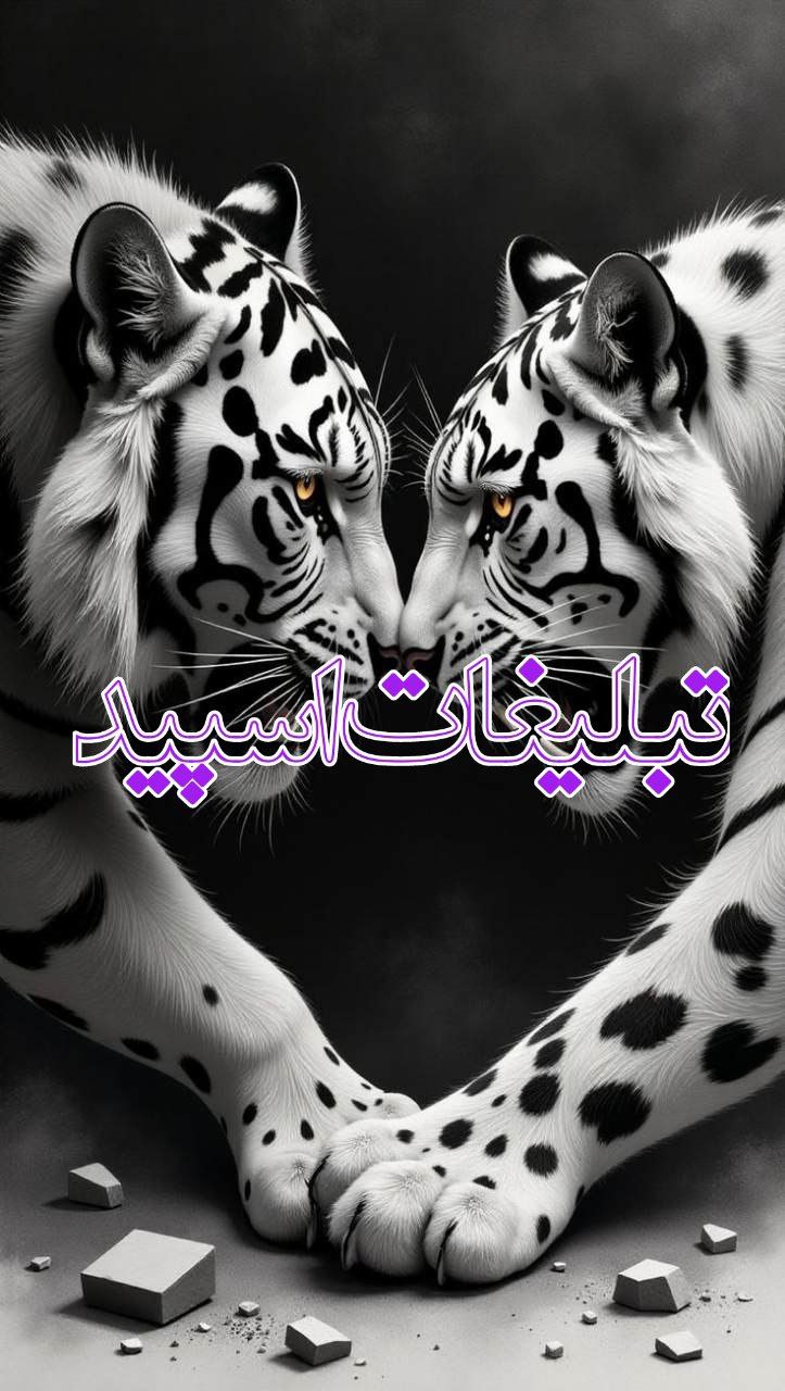 دورهمی دوستان (7)