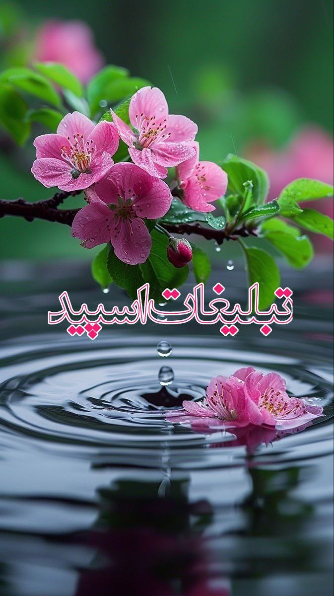 ❤️اًّلََــَـَــاچۘۘـیََقٖٖ دۘۘـوَِسََـََـََتـެـެِэٖٖ‍ٖٖ‍ٖٖ‍ٖٖ‍ٖٖاݩ❤️