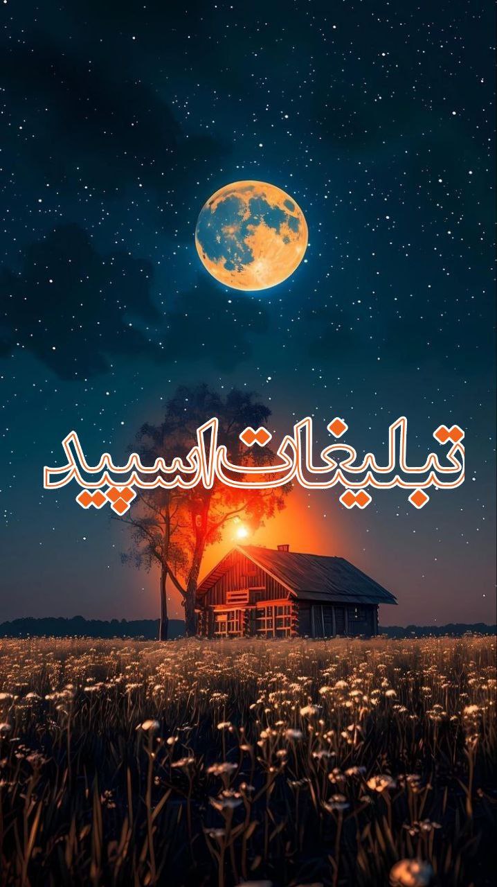 دورهمی لاکچری