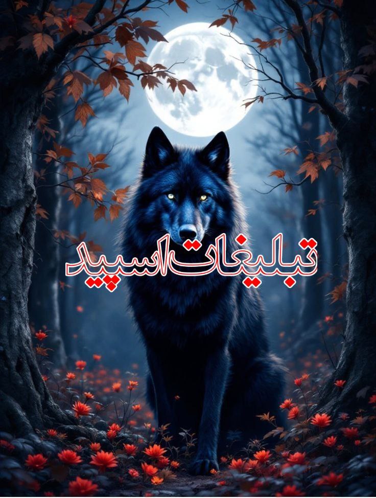 𓄂ꪴꪰ☾︎⃝⋆❤️𝐌𝐢𝐭ࡅ࡙ߺߊ‌‌❟ܝ‌𝐢𝐧𝐠❤️☾︎⃝⋆٭𓆃 (2)