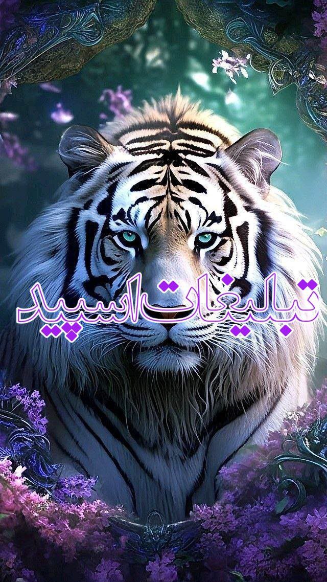 محفل خوبان ❤️‍🔥 (4)