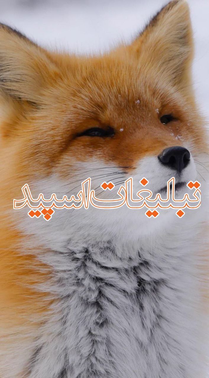 ⚜️کــــافه گــرم دوســتانه⚜️ (1)
