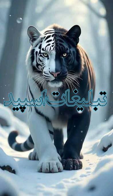 آلاچیق ایرونی (3)