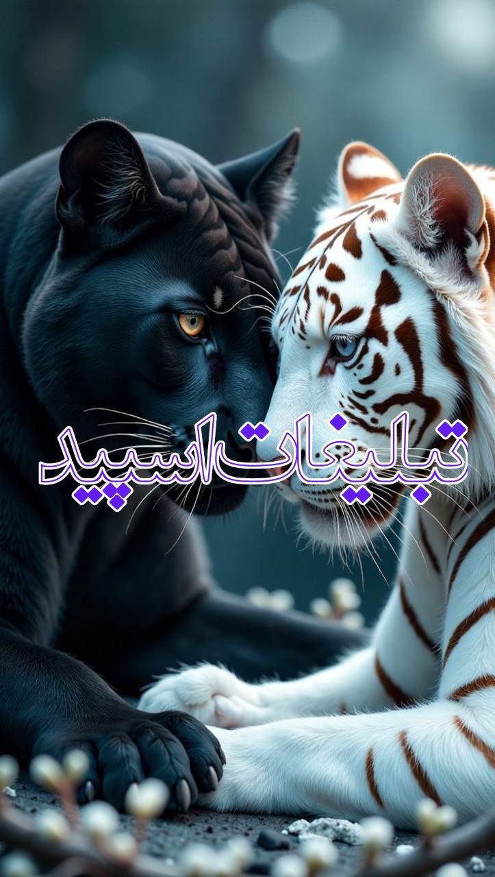 بچه های نسبتا بد