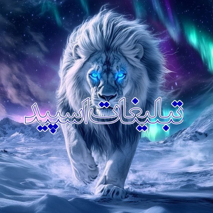 نبض عشق