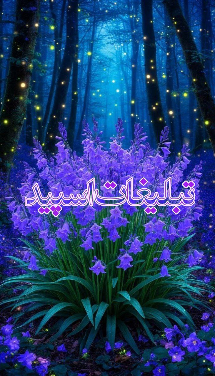 ⎯꯭᪵̽𝆺꯭𝅥𝐖𝐈𝐋𝐃𓆩᪵🜲꯭𓆪̥𝐖𝐎𝐋𝐅⎯꯭꥓᪵ͯ⟶ (43)