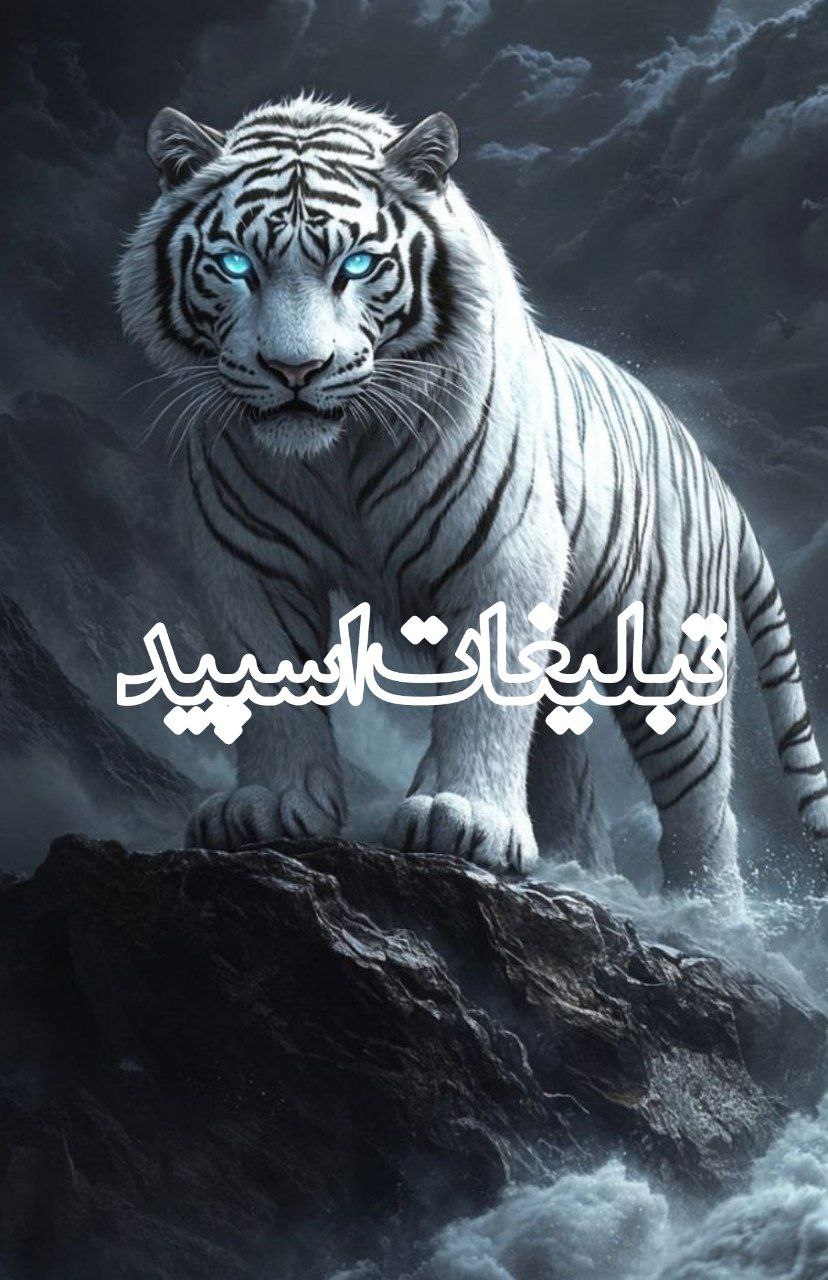 رفیق های عشق