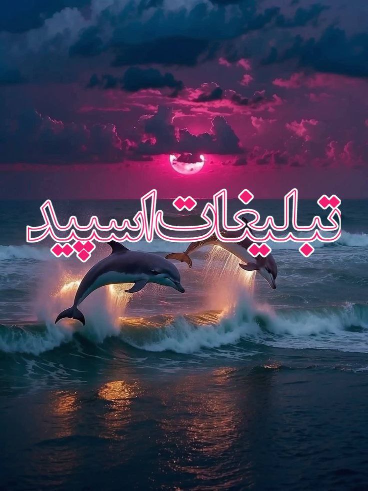 وایلد ولف🐺 (3)