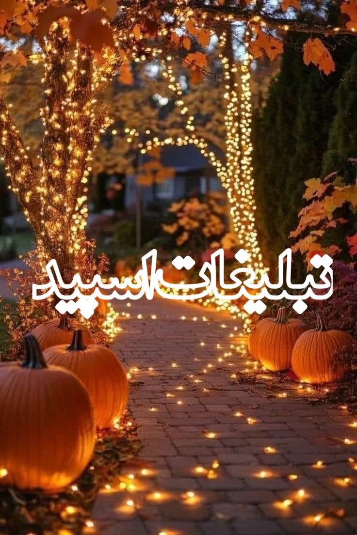 ❣️ ,, 𝓐𝔪𝓞𝓡 ,,❣️ (1)