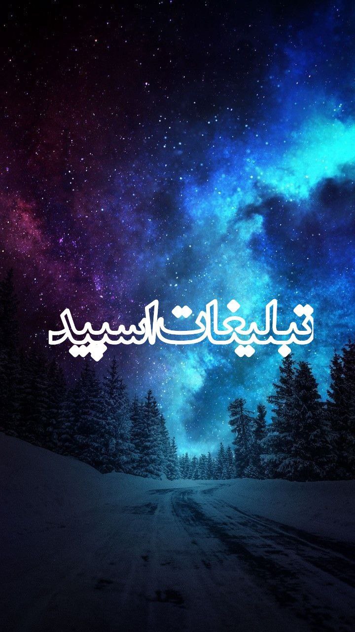 وایلدولف (4)