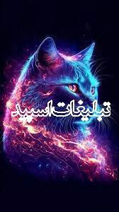 دورهمی ایران زمین🪷. (1)