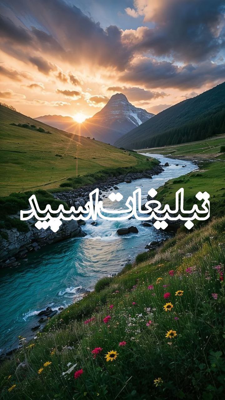 قلب یخی (6)