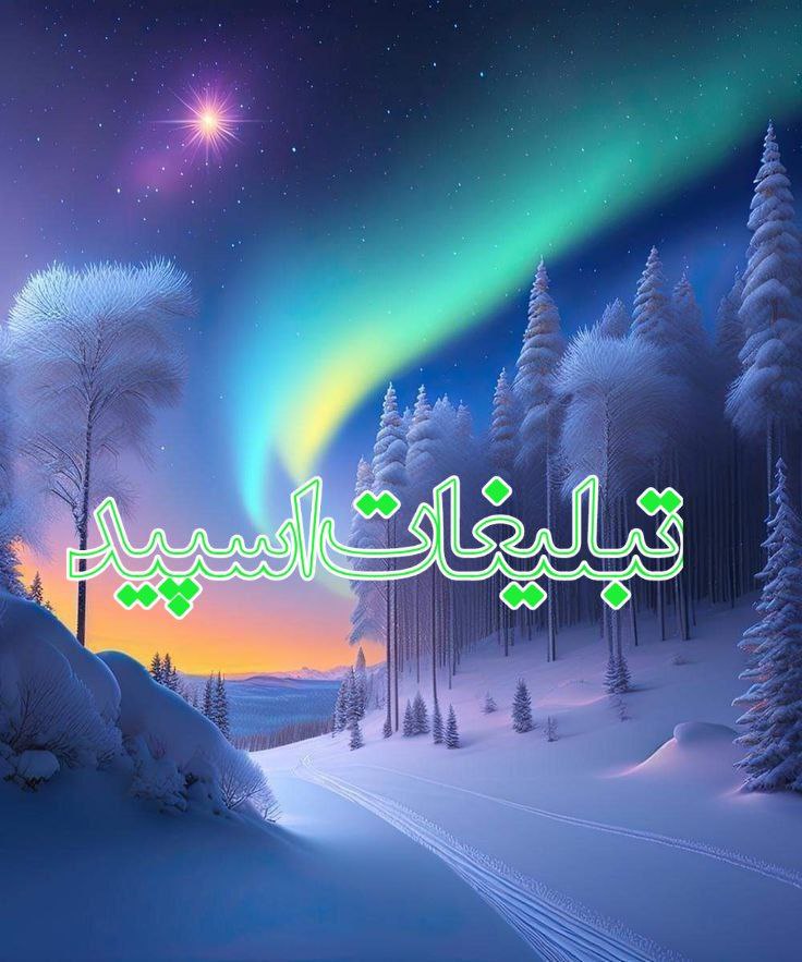 وایلد ولف (153)