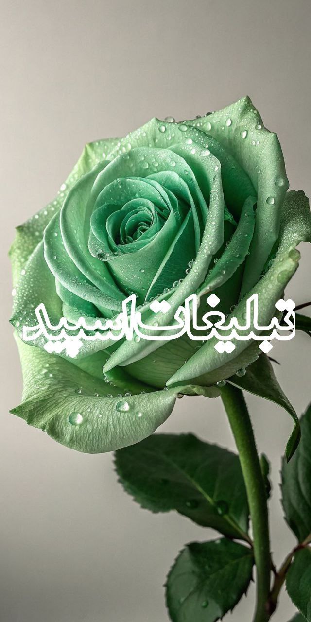 گروهکده قلمرو ملکه (3)