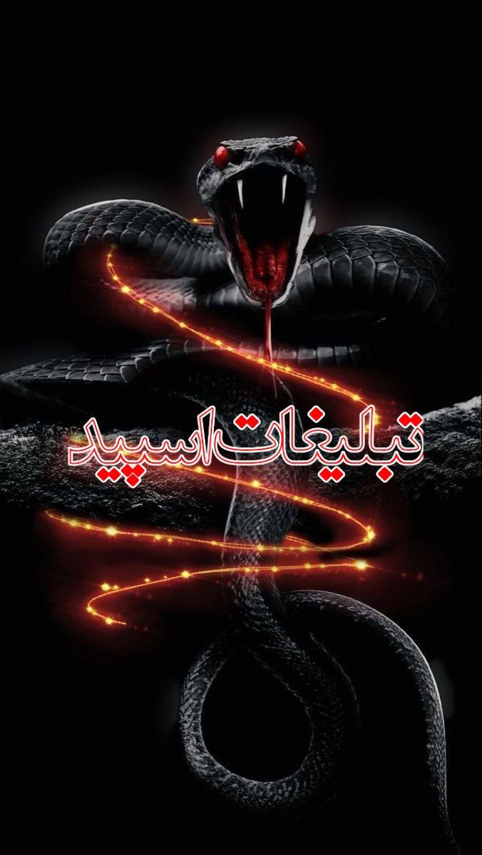 وایلد ولف (9)