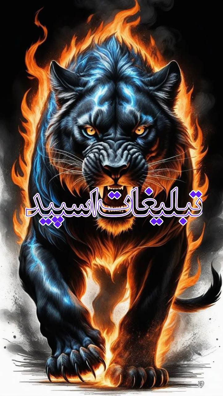 دوستان بامرام (8)